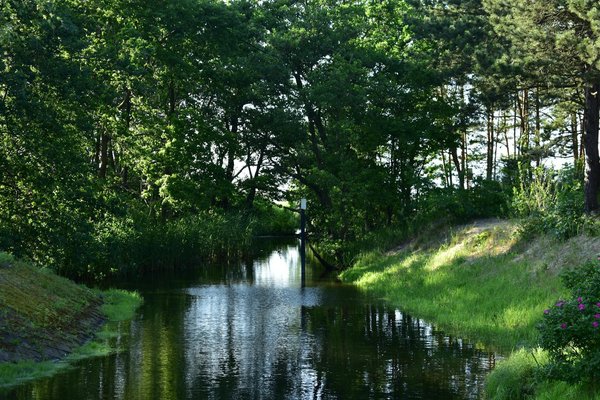 Comment se préparer pour une séance d'hypnose pour mincir